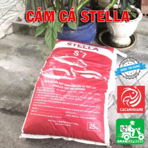 cám stella s+
