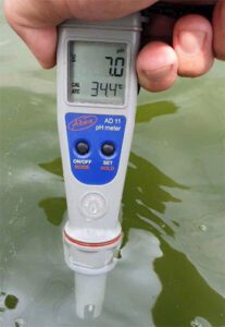 Đá san hô điều chỉnh PH, hạn chế ph thấp khi vào mùa mưa