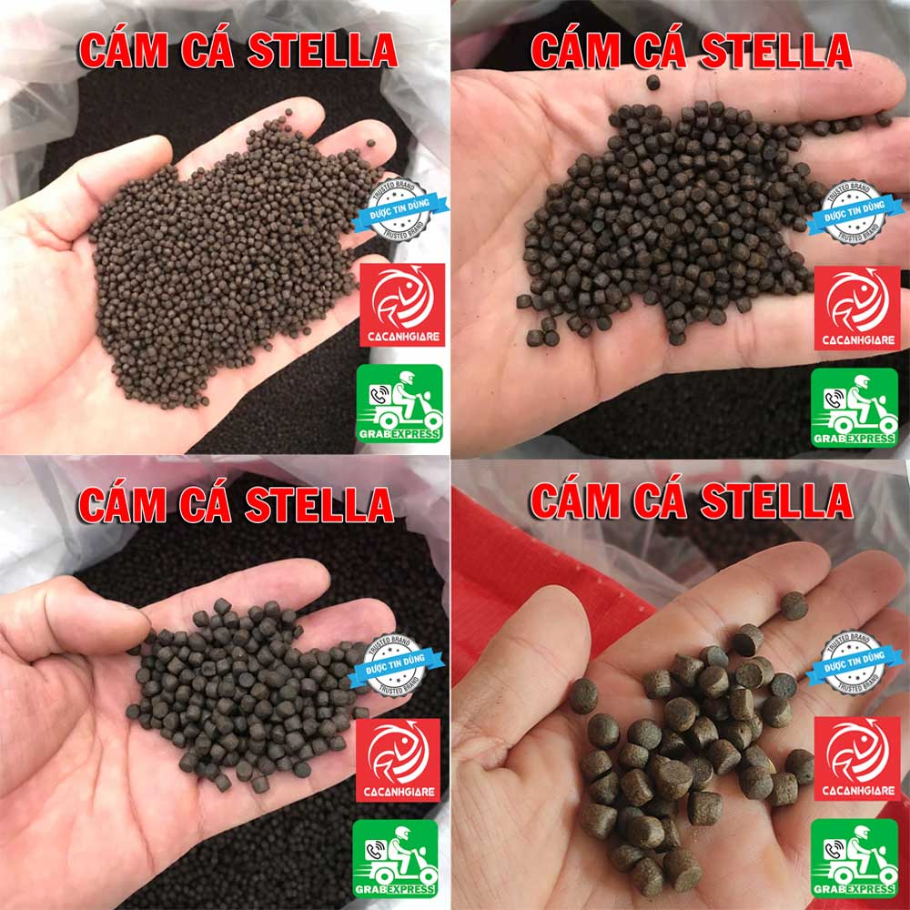 Các size cám cá stella s+