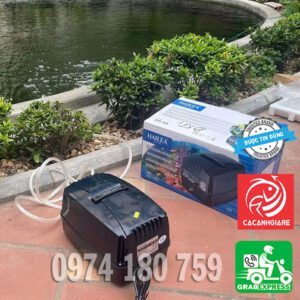 Hailea CP60 chống cúp điện cho hồ cá cảnh