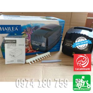 Máy sủi oxy tích điện Hailea CP60 công suất cao