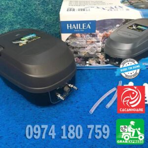 Đánh giá máy sủi oxy Hailea CP60 chống cúp điện