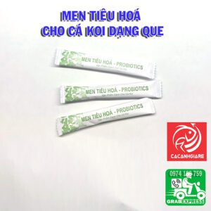 Men tiêu hoá cho cá