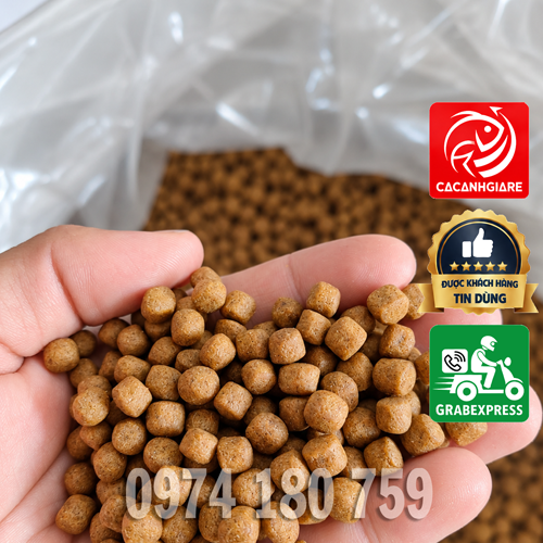 hình ảnh thực tế viên cám cá hydra đạm 40%