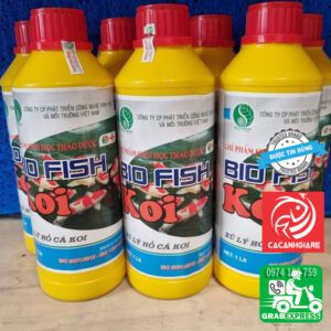 vi sinh hồ cá cải thiện chất lượng nước