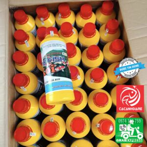 vi sinh cho hồ cá koi