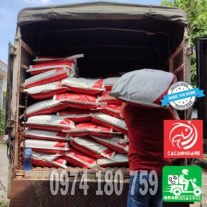 Cám Stella bao 25kg bán tại TP.HCM, giá tốt
