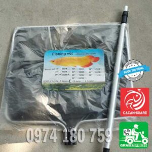 Vợt Hình Vuông