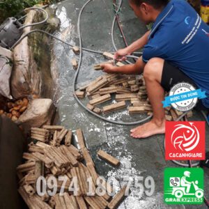 Chăm Sóc Định Kỳ Hồ Cá Tại TP.HCM