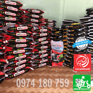 Cám Cá Biokoi Food