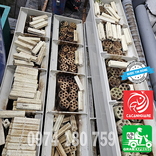 Vật liệu lọc được sắp xếp trong các ngăn của bakki