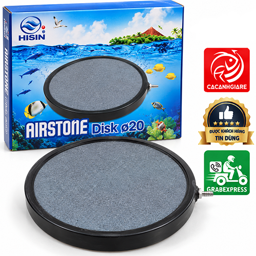 dia-sui-khi-20cm-mot-mat đĩa sủi khí 20cm một mặt